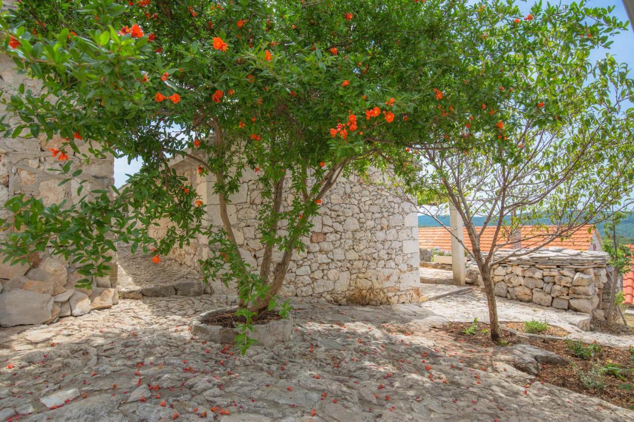 Dalmatian Stone House Villa Rogoznica  Exterior photo